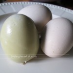 วิธีทำไข่ข้าวขายหารายได้เสริมขายง่ายกำไรดี