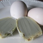 วิธีทำไข่ข้าวที่เป็นตัวอ่อนแล้วและที่ไม่มีตัวอ่อน